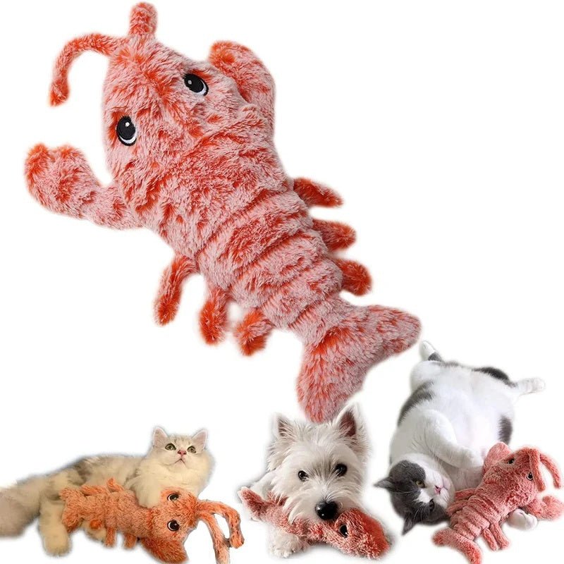 Giochi per Animali - Luckintoys