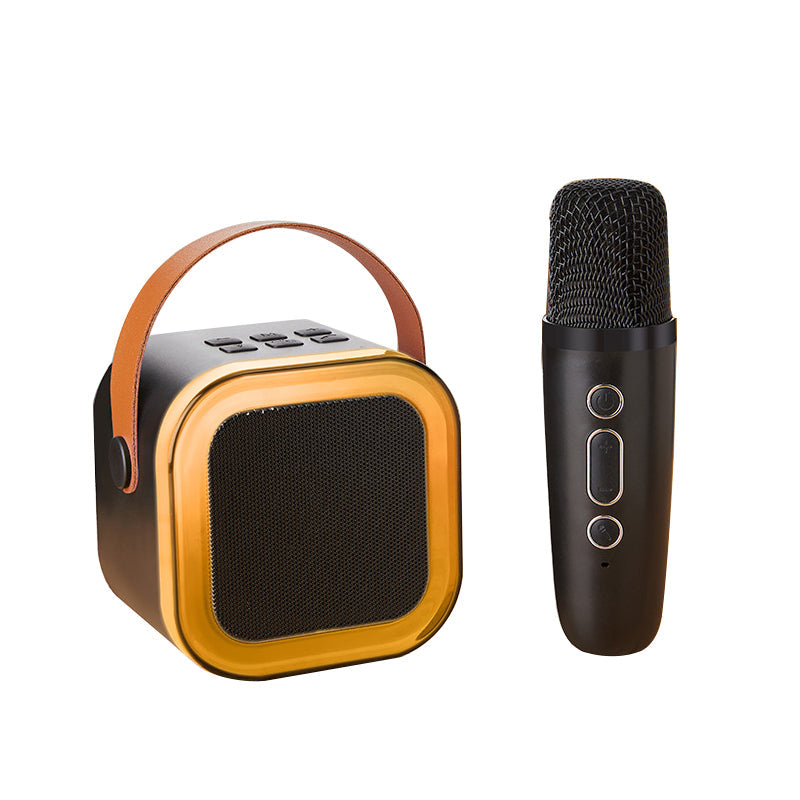 🎵Mini Macchina Karaoke con Microfoni Senza Fili
