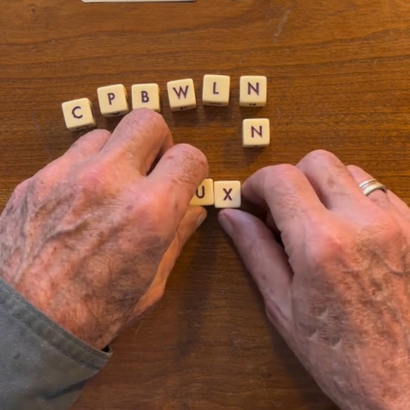 Il gioco del solitario con parole crociate - Luckintoys