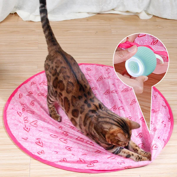 ✨2 in 1 Giocattolo interattivo di caccia simulato per gatti