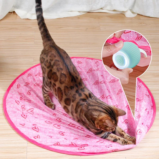 ✨2 en 1 Juguete interactivo de caza simulado para gatos