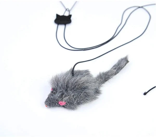 Giocattolo per gatti che rimbalza per un divertimento felino attivo - Luckintoys