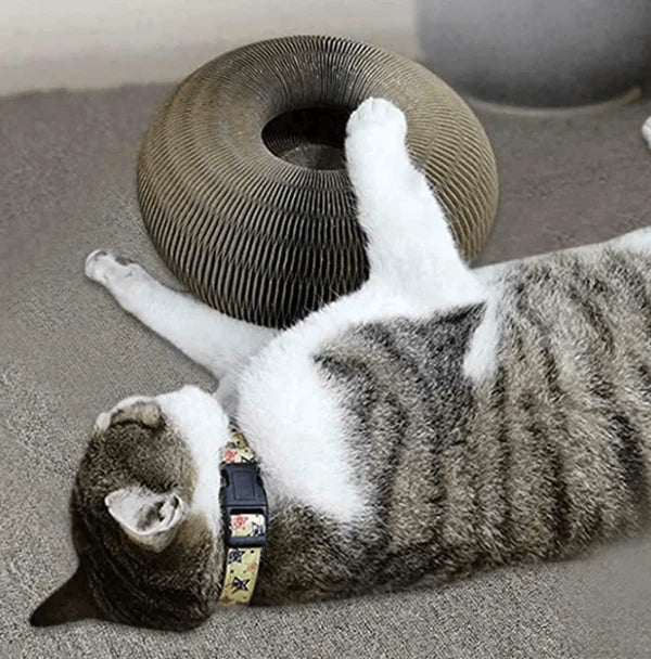 Magic Organ Cat Scratcher - Luckintoys