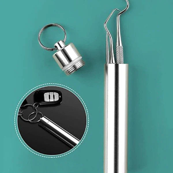 Set di stuzzicadenti in acciaio inox