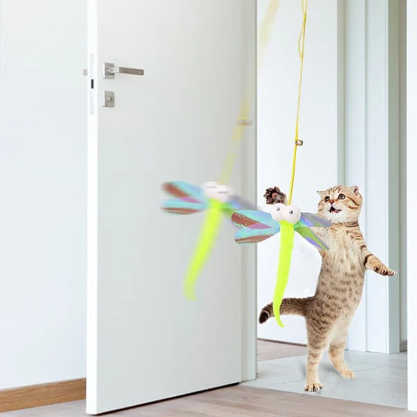 Giocattolo gonfiabile per gatti - Luckintoys