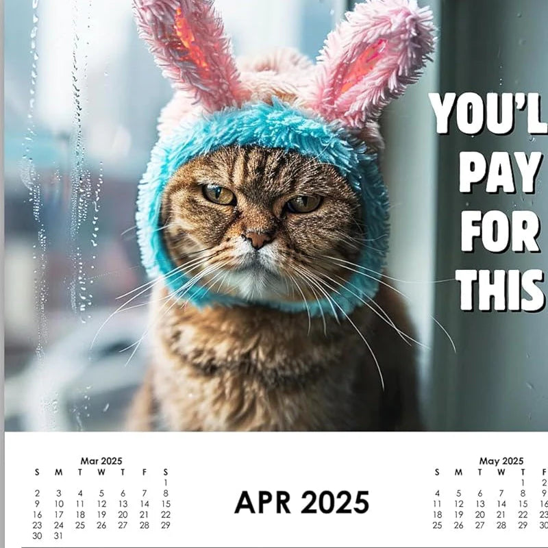 Calendario 2025 Gatti incazzati