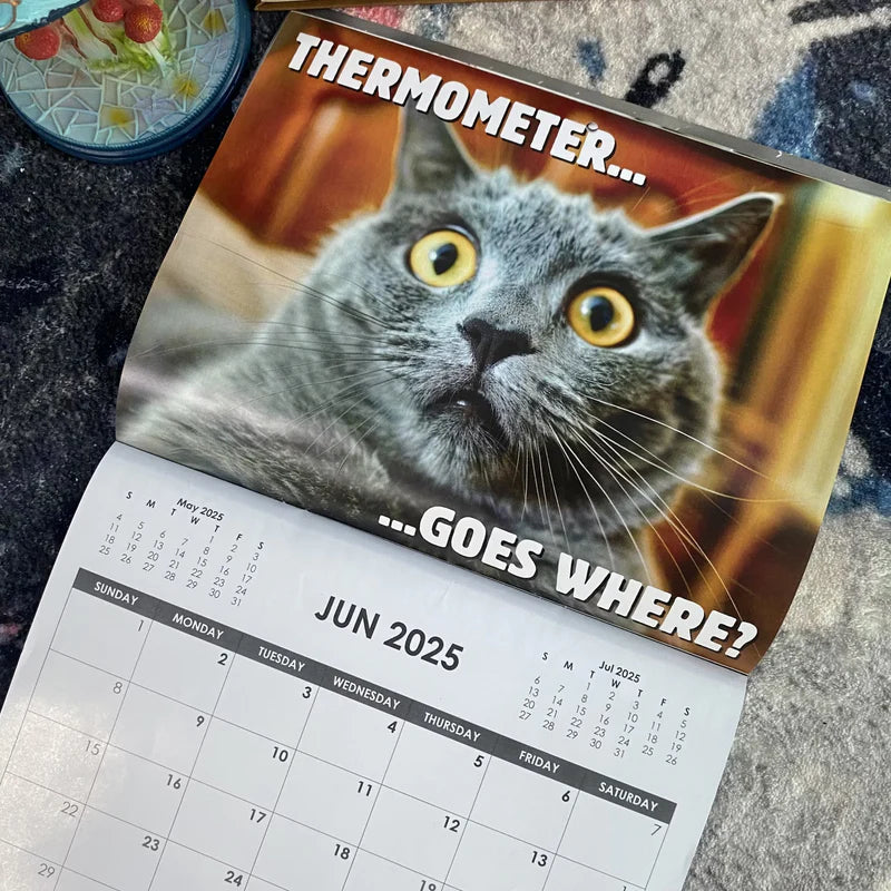 Calendario 2025 Gatti incazzati