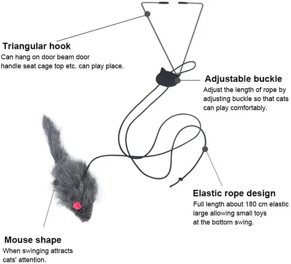 Giocattolo per gatti che rimbalza per un divertimento felino attivo - Luckintoys