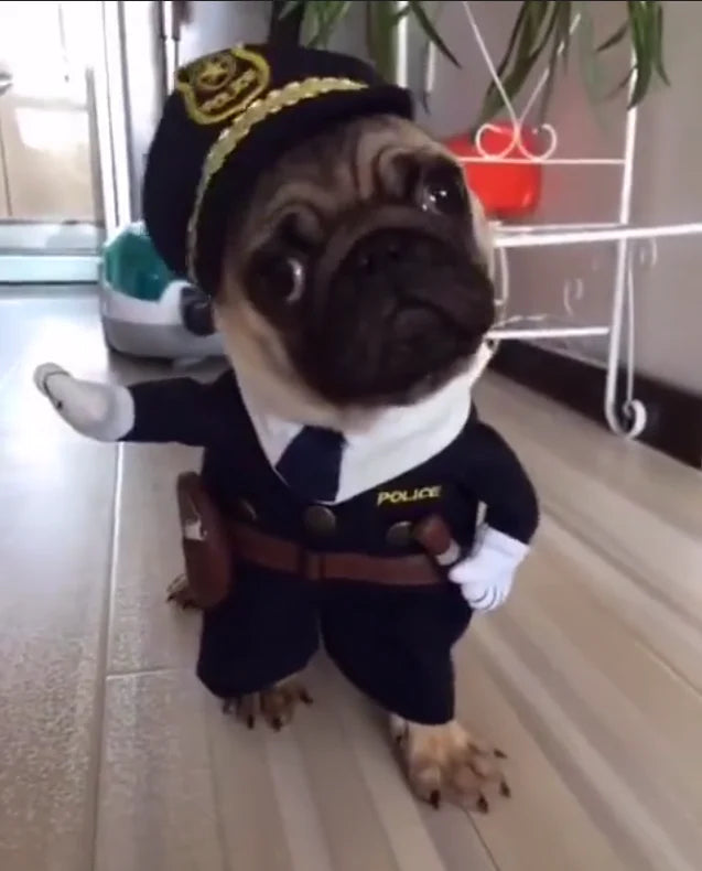 Costume da bambola mortale