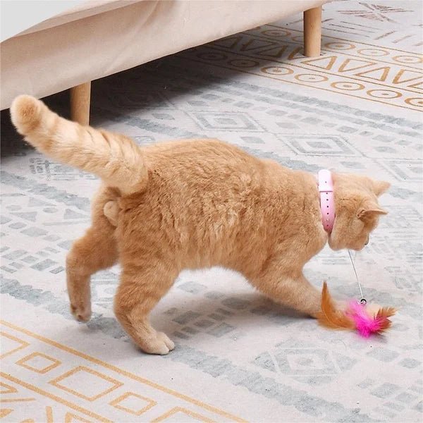 Collare a mani libere per gatti - Luckintoys