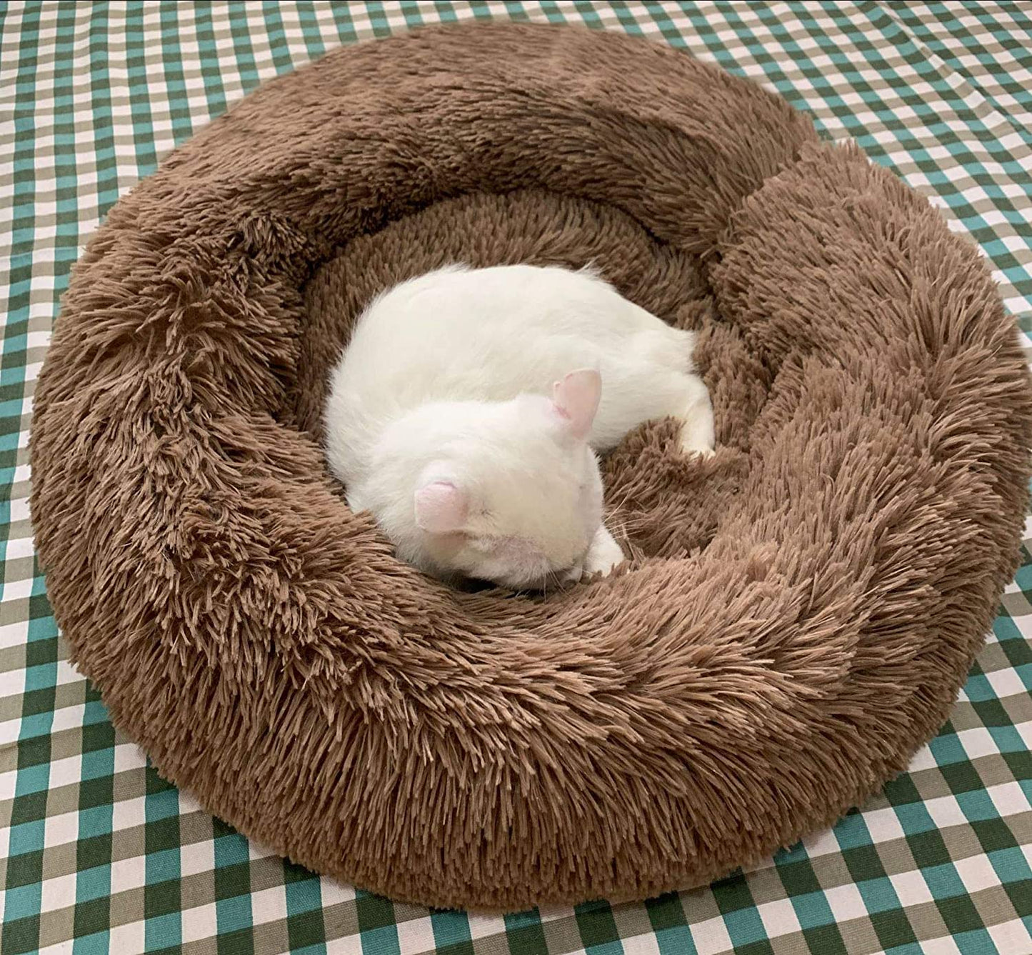🔥 Comfortable calming bed for dogs/cats
