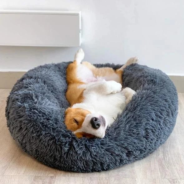 🔥 Comfortable calming bed for dogs/cats