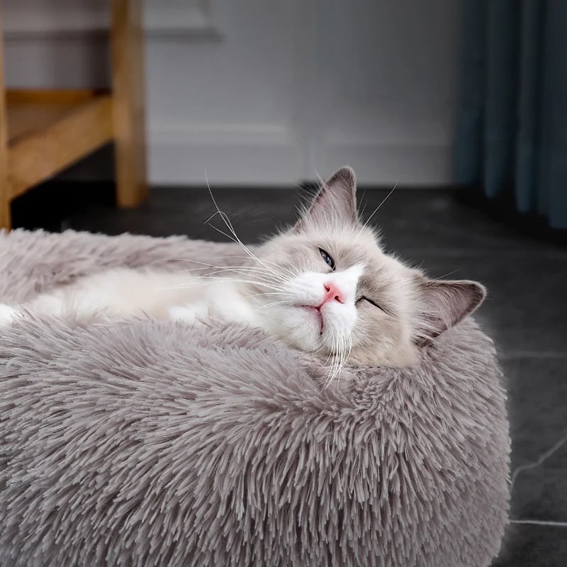 🔥 Comfortable calming bed for dogs/cats