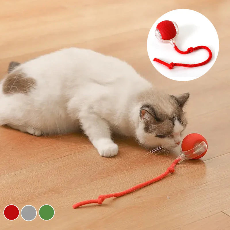 Active ball with tail for cats