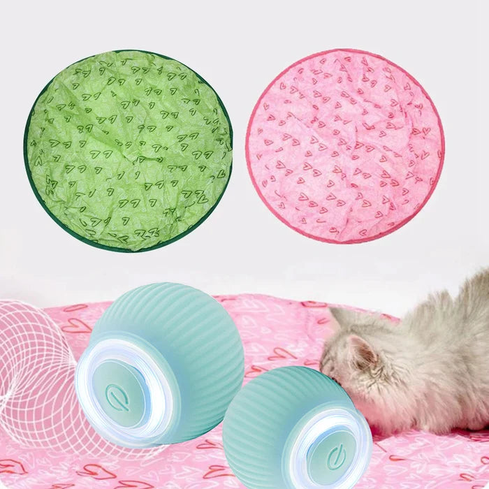 ✨2 in 1 Interactive simulated hunting toy for cats