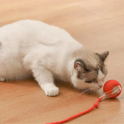 Active ball with tail for cats