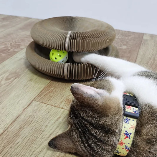 Magic Organ Cat Scratcher - Luckintoys