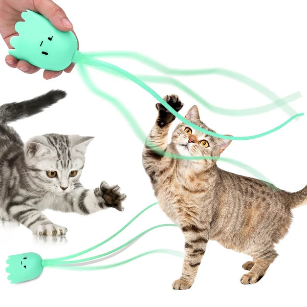 Le migliori innovazioni in fatto di giocattoli elettrici per gatti del 2024 - Luckintoys