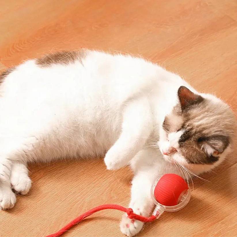 Palla attiva con coda per gatti