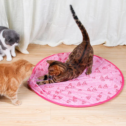 ✨2 in 1 Interactive simulated hunting toy for cats