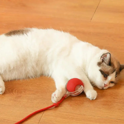 Active ball with tail for cats