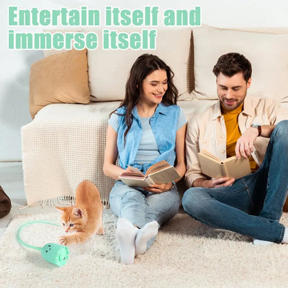 Le migliori innovazioni in fatto di giocattoli elettrici per gatti del 2024 - Luckintoys