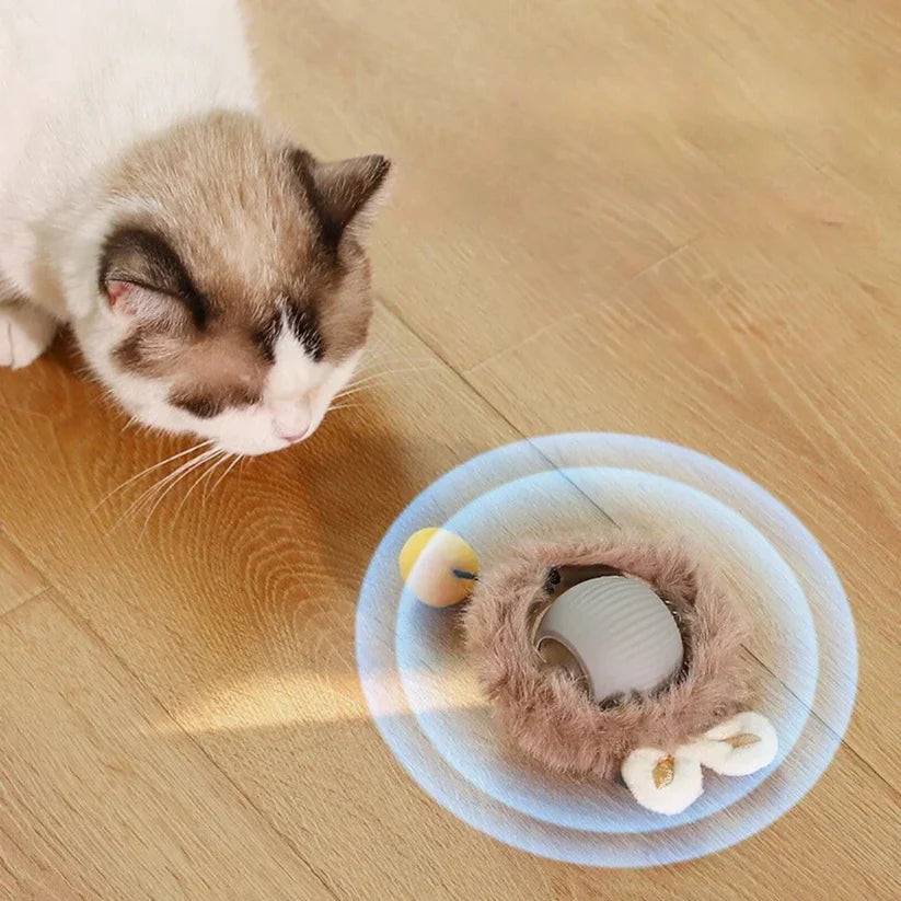 Palla attiva con coda per gatti