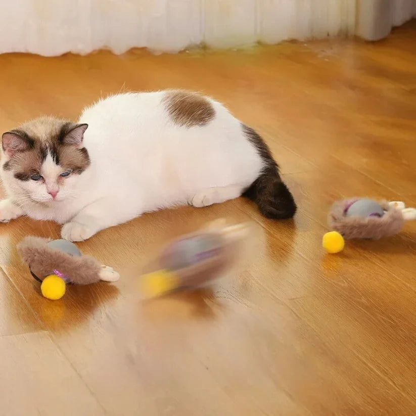 Active ball with tail for cats
