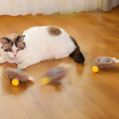 Active ball with tail for cats
