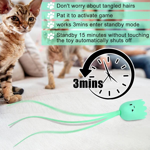 Le migliori innovazioni in fatto di giocattoli elettrici per gatti del 2024 - Luckintoys