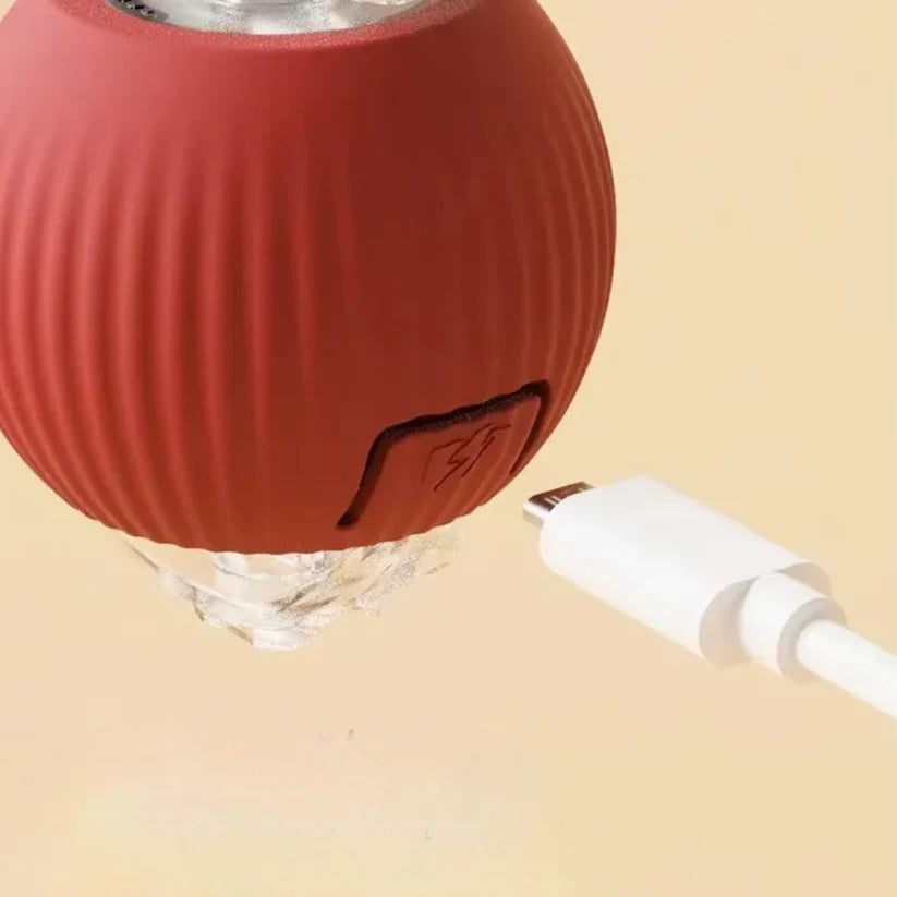 Active ball with tail for cats