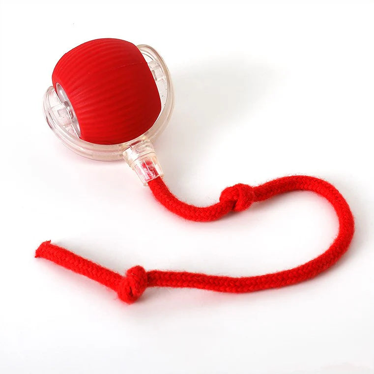 Active ball with tail for cats