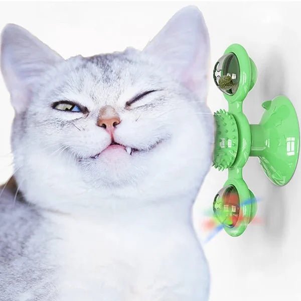 Engage Your Cat with Interactive Windmill Toys Infused with Catnip - Luckintoys